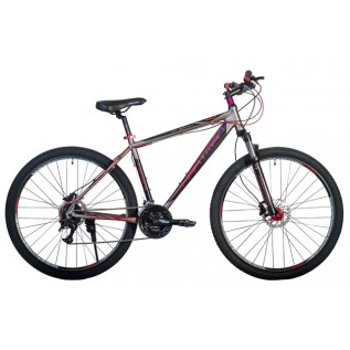 Ingword HD Pro LX Disc 29" (Basis) (2021)