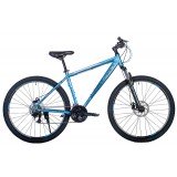 Ingword Disc 29" (Basis) (2021)