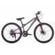 Ultragen Pro LX Disc 26" (Basis) (2021)